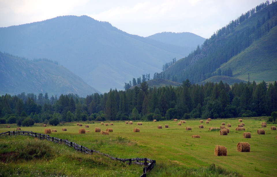 Карелия